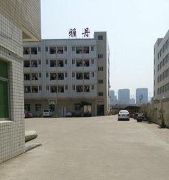 泉州城东街道最新爆料,揭秘社区发展新动向